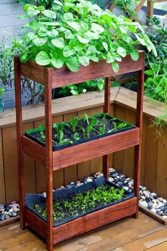 陽(yáng)臺(tái)種菜讓您其樂(lè)無(wú)窮  天恒裝飾