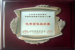 優(yōu)秀獎(jiǎng)團(tuán)隊(duì)組織獎(jiǎng)