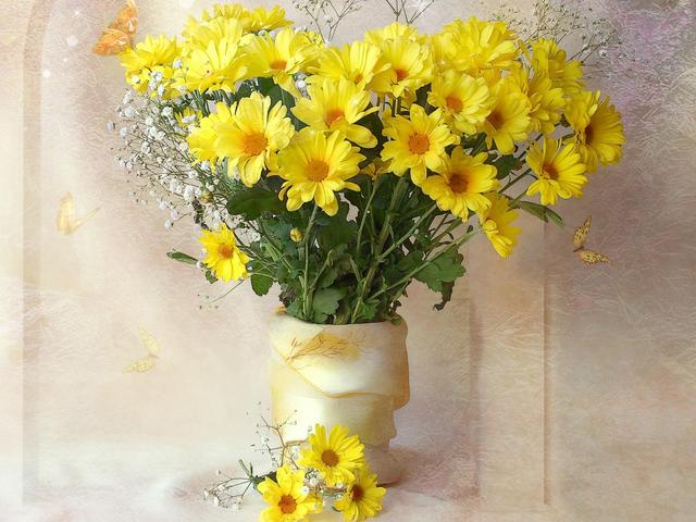 【洛陽天恒】教您冬至風水家居這樣布置 可以旺財開運哦！